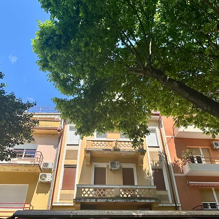 Dalma * Crikvenica